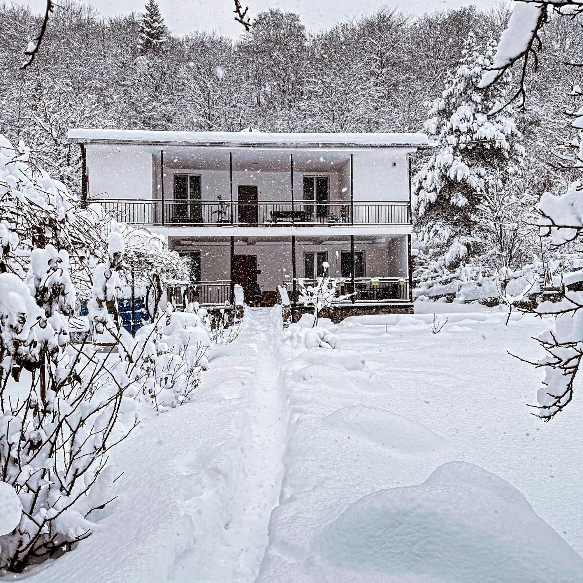 Hotel White House In Bordschomi Exterior foto
